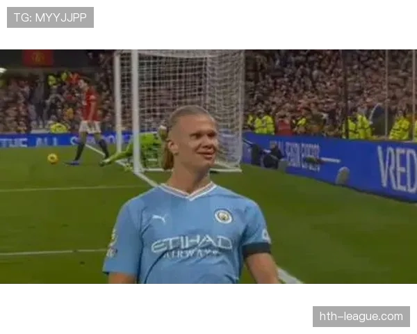 哈兰德禁区统治